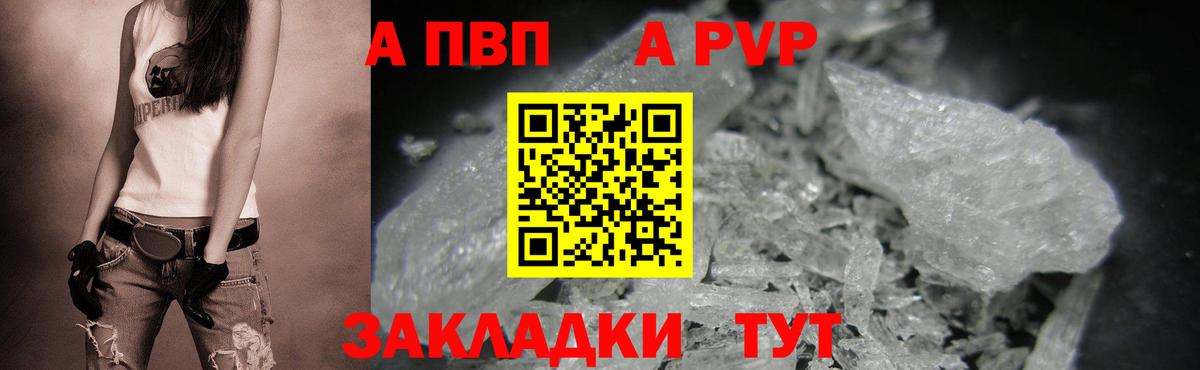 Alfa_PVP СК Сунжа