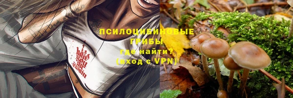 молекула духа Аркадак