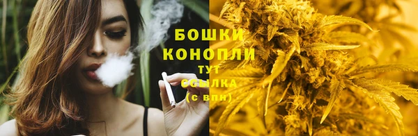 каннабис Новозыбков