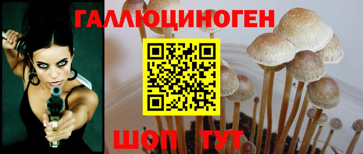 Галлюциногенные грибы мухоморы  Вход с VPN  где найти наркотики  Сунжа 